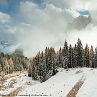 Buy canvas prints of Snowy Dolomites by Slawek Staszczuk