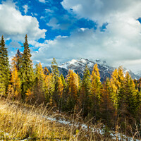 Buy canvas prints of Autumn in the Dolomites by Slawek Staszczuk