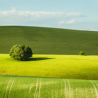 Buy canvas prints of Spring on the South Downs by Slawek Staszczuk