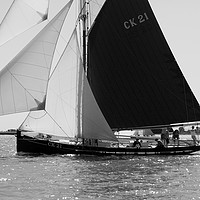 Buy canvas prints of Oyster Smack CK21 sailing off West Mersea by Oliver Southgate