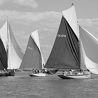 Buy canvas prints of oyster smacks running before the wind by Oliver Southgate