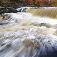 Buy canvas prints of Aysgarth Falls in autumn, Yorkshire Dales National by Wendy McDonnell