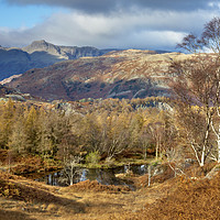 Buy canvas prints of Autumn on Holme Fell, English Lake District by Wendy McDonnell