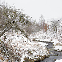 Buy canvas prints of Winter in Swaledale, Yorkshire Dales  by Wendy McDonnell