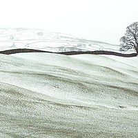 Buy canvas prints of Winter in Wensleydale, Yorkshire Dales  by Wendy McDonnell