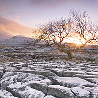 Buy canvas prints of Sunrise, Twistleton Scar, Yorkshire Dales by Wendy McDonnell