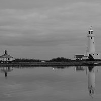 Buy canvas prints of Hurst Point Lighthouse and Cottage in Spring by Rob Evans