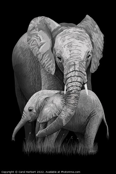 Mother and Baby Elephant Original Art Picture Board by Carol Herbert