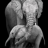 Buy canvas prints of Mother and Baby Elephant Original Art by Carol Herbert