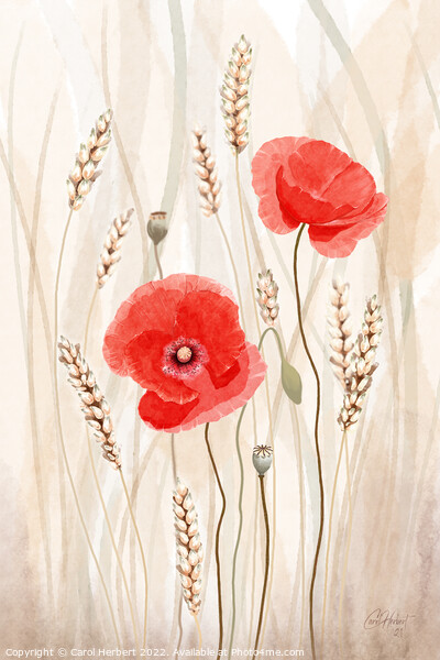 Poppies and Corn Original Art Picture Board by Carol Herbert
