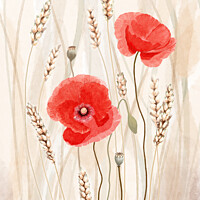 Buy canvas prints of Poppies and Corn Original Art by Carol Herbert
