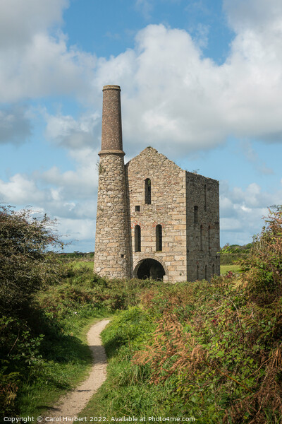 South Wheal Frances Tin Mine, Cornwall Picture Board by Carol Herbert