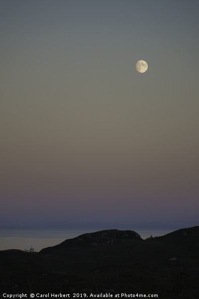 Full Moon Over Arnish Point Picture Board by Carol Herbert