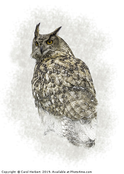Turkmenian Eagle Owl Picture Board by Carol Herbert