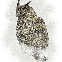 Buy canvas prints of Turkmenian Eagle Owl by Carol Herbert