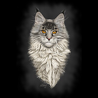 Buy canvas prints of Maine Coon Cat Original Artwork by Carol Herbert
