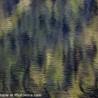 Buy canvas prints of Forest Reflections by David Thurlow