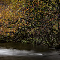 Buy canvas prints of Autumn Colours in North wales by David Thurlow