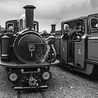 Buy canvas prints of Old Engine Shed Lineup, Ffestiniog Railway by David Thurlow