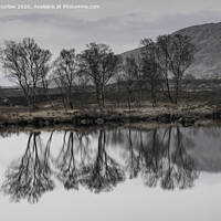 Buy canvas prints of Bare Birch trees reflecting in the cold waters of Loch Ba on Rannoch Moor by David Thurlow