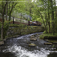 Buy canvas prints of Welsh Highland Railway  by David Thurlow