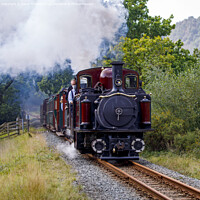 Buy canvas prints of Merddin Emrys leads Welsh Pony to Beddgelert via Nantmor Bank. by David Thurlow