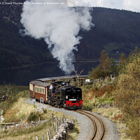 Buy canvas prints of Welsh Highland Railway locomotive No87 winds its way to Rhyd Ddu. by David Thurlow
