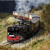Buy canvas prints of Welsh Highland Railway locomotive No87 winds its way to Rhyd Ddu. by David Thurlow