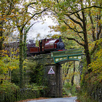 Buy canvas prints of Palmerston on Tanybwlch Bridge by David Thurlow