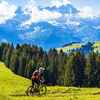 Buy canvas prints of Mountain biker and Dents du Midi by Jon Sparks