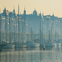 Buy canvas prints of Early morning sculler, Stockholm by Jon Sparks