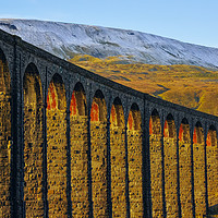 Buy canvas prints of Ribblehead Viaduct and Whernside by Jon Sparks