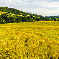 Buy canvas prints of Field on Wenlock Edge by Jon Sparks