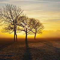 Buy canvas prints of Mist and frost near Garstang 1 by Jon Sparks