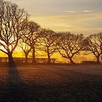 Buy canvas prints of Mist and frost near Garstang 2 by Jon Sparks