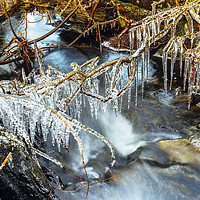 Buy canvas prints of Icicles, Selside Beck by Jon Sparks