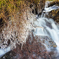 Buy canvas prints of Selside Beck Icicles by Jon Sparks