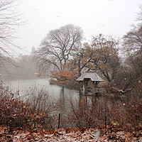 Buy canvas prints of Snowy morning in Central Park by Jannette Gregory