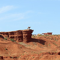 Buy canvas prints of Lone cowboy in Monument Valley by Jannette Gregory