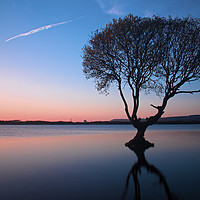 Buy canvas prints of                                The Lonely Tree by jason jones
