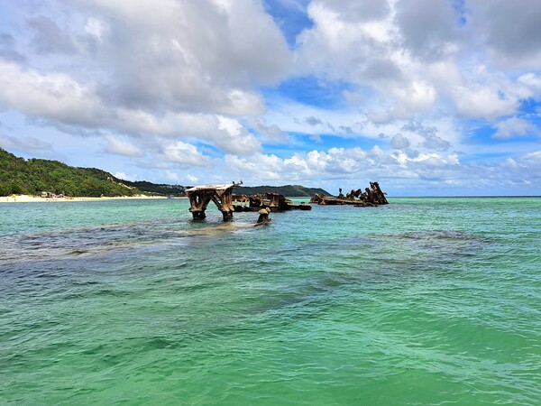 Moreton Island Shipwrecks   Picture Board by Carmen Goulden