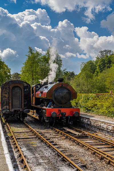 Victor - Steam train at Lakeside, Lake District Picture Board by Carmen Goulden