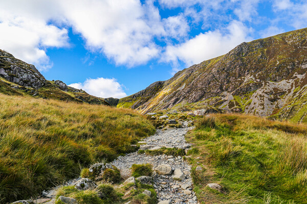 Path on Cadair Idris Picture Board by Carmen Goulden