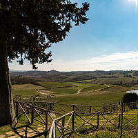 Buy canvas prints of Luscious Tuscany by Ben Delves