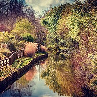 Buy canvas prints of Enchanting autumn foliage by the stream by Ben Delves