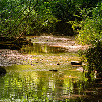 Buy canvas prints of A small stream by Ben Delves