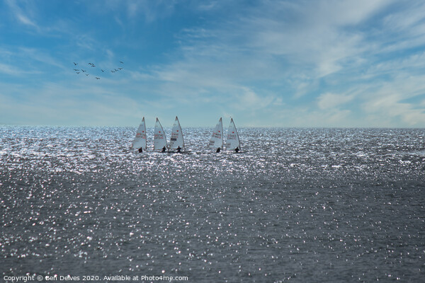 Serene Sailing in Portugal Picture Board by Ben Delves