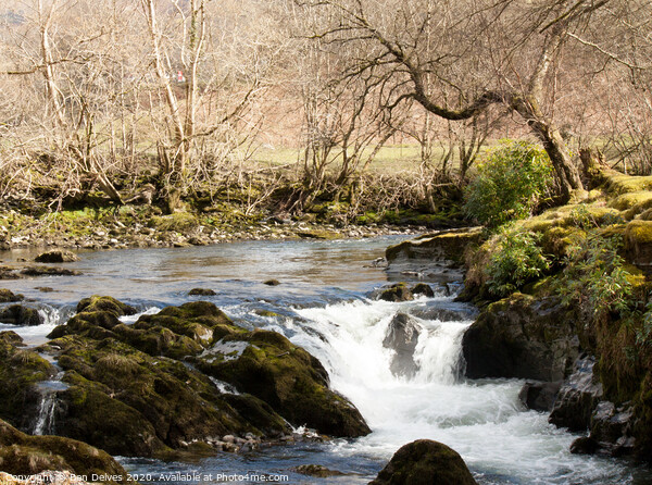 Stream in wales Picture Board by Ben Delves