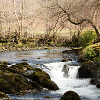 Buy canvas prints of Stream in wales by Ben Delves