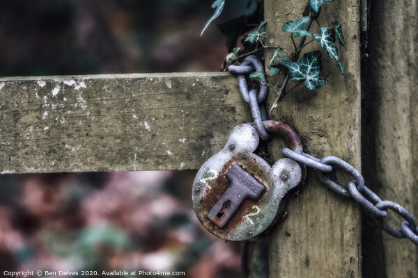 Rusty Padlock in the Woods Picture Board by Ben Delves